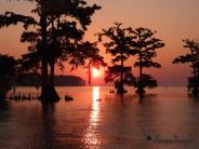 Dark orange and red sunset with trees in the river