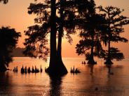 Bright orange sunset with trees in the river