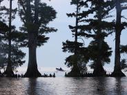 Bayou landscape picture with blue and white sky and boater inbetween trees