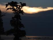 Dark bayou landscape and sky