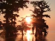 Bright orange sunset with trees in the river