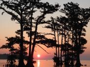 Bright orange sunset with trees in the river