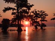 Bright orange sunset with trees in the river