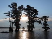 Middle of sunset, dark blue sky with sun, with trees in the river