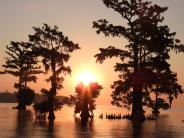 Middle of sunset, dark orange and red sky with bright sun, with trees in the river