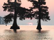 Middle of sunset, with pink and blue sky, with trees in the river